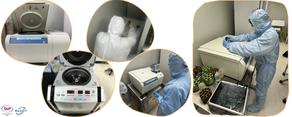 TAF轉速校正｜離心機轉速校正｜銳靛生技（READY）提供 TAF ISO/IEC 17025 認證（實驗室編號 TAF 4402）轉速校正服務。