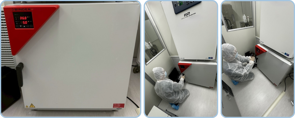  培養箱校驗紀錄｜CO₂濃度與溫度穩定性測試｜銳靛生技 READY