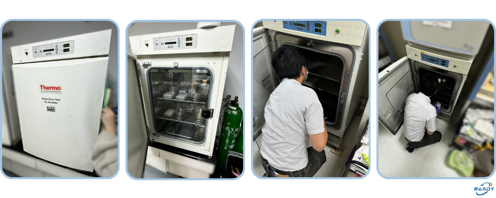 CO₂ 培養箱校驗紀錄：37°C 溫度 & 5% CO₂ 測試｜ESCO / THERMO 濾網更換服務｜銳靛生技