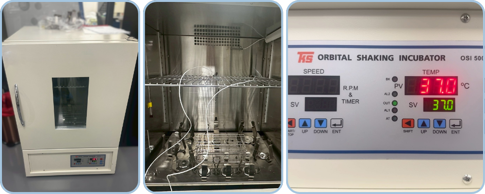 迴轉式震盪培養箱溫度檢測｜提供可追溯的校驗報告與數據 | READY 銳靛生技