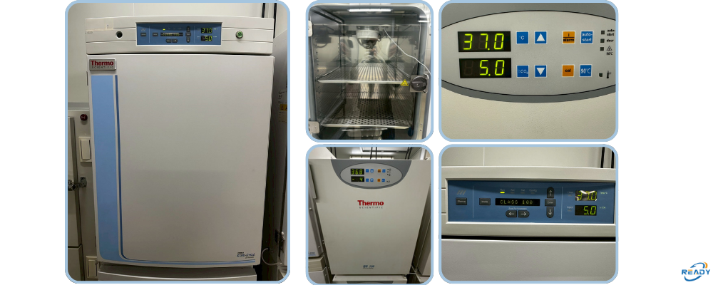 CO₂培養箱校正服務｜TAF 17025 認證範圍：溫度與CO₂濃度｜READY 銳靛生技