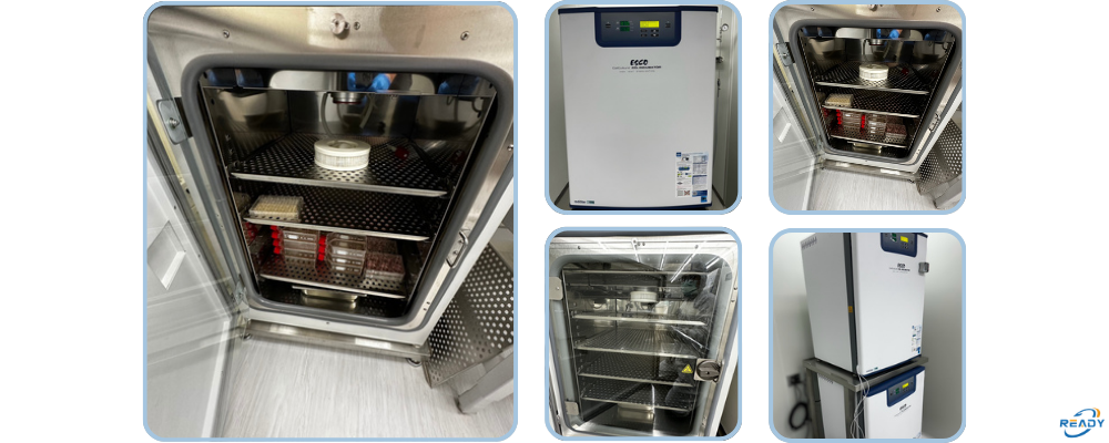 全台唯一 TAF 認證二氧化碳培養箱（CO₂ Incubator）5% 氣體濃度現場校正方案：具國際追溯性之權威校正報告｜READY 銳靛生技
