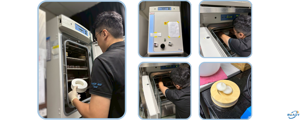 二氧化碳培養箱｜HEPA 濾網更換＋溫度／CO₂ 校正｜READY 銳靛生技