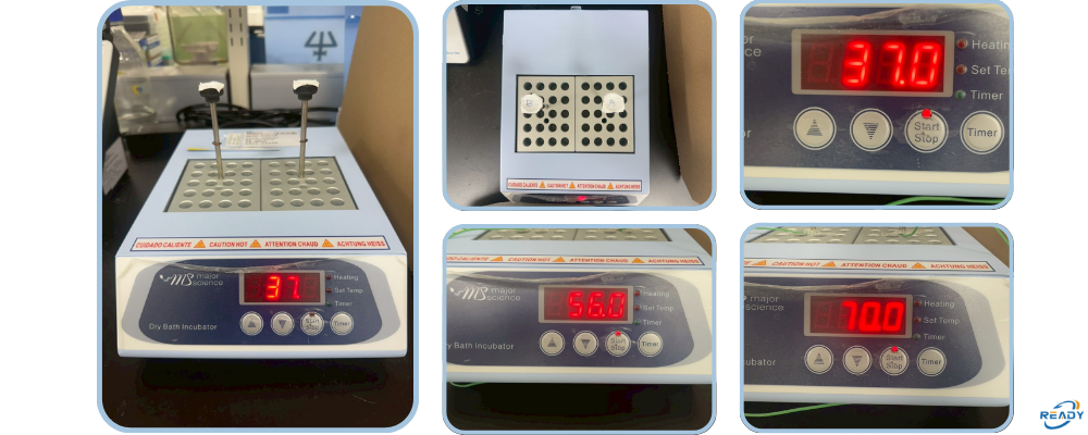 乾浴槽 37℃、56℃、70℃ 2點位溫度校驗紀錄｜銳靛生技（READY）