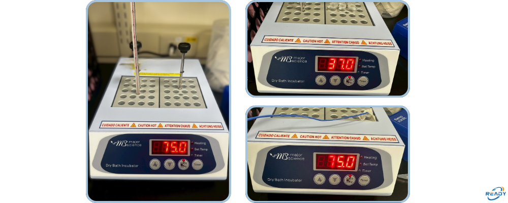 乾浴槽（乾浴器）溫度校驗說明｜READY 銳靛生技