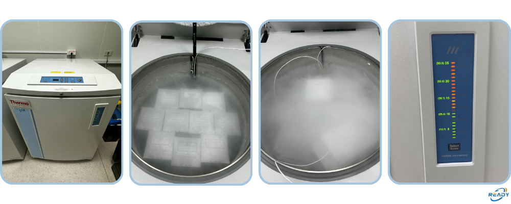 液態氮桶儲存系統校驗｜液位與溫度檢測服務｜READY 銳靛生技