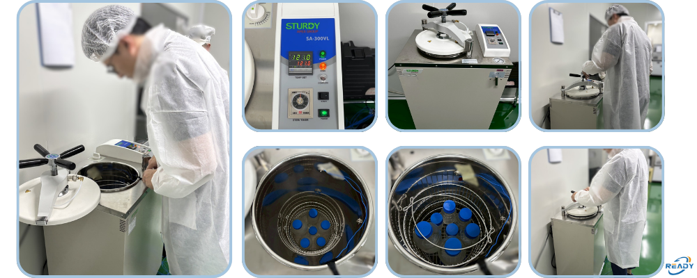 滅菌確效（Sterilization Validation）說明｜READY 銳靛生技