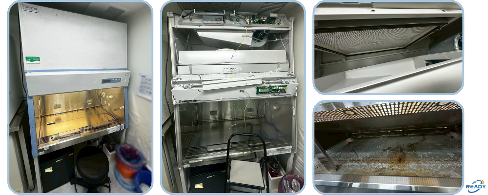 生物安全操作櫃濾網更換與驗證｜BSC 清潔＋九大項檢測｜READY 銳靛生技