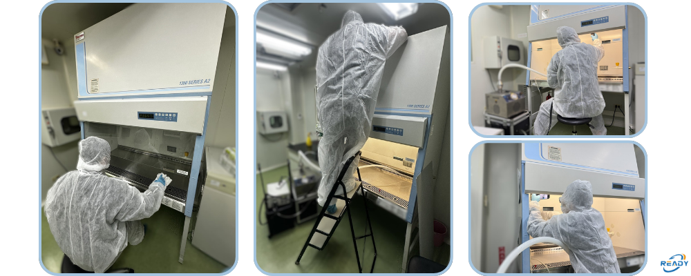 BSC年度檢測的重要性｜READY 銳靛生技