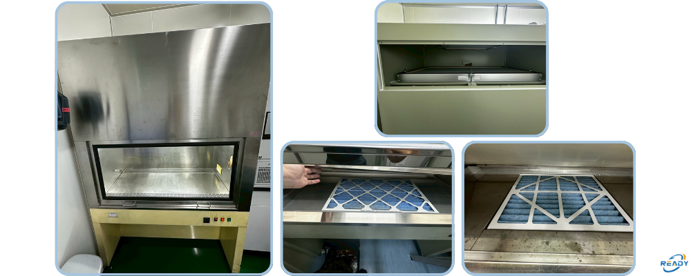 無菌操作台濾網更換服務｜READY 銳靛生技